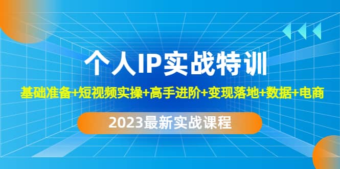 2023个人IP实战特训：基础准备 短视频实操 高手进阶 变现落地 数据 电商-天天资源网