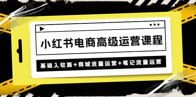 小红书电商高级运营课程：基础入驻篇 商城流量运营 笔记流量运营-天天资源网