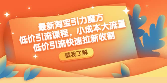 最新淘宝引力魔方低价引流实操：小成本大流量-天天资源网