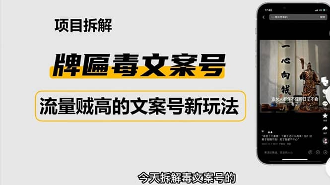 2023抖音快手毒文案新玩法，牌匾文案号，起号快易变现-天天资源网