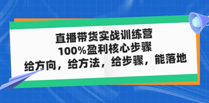 直播带货实战训练营：100%盈利核心步骤，给方向，给方法，给步骤，能落地-天天资源网