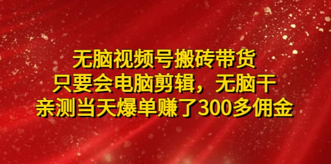 无脑视频号搬砖带货，只要会电脑剪辑，无脑干-天天资源网
