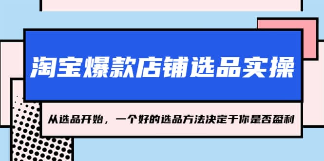 淘宝爆款店铺选品实操，2023从选品开始，一个好的选品方法决定于你是否盈利-天天资源网