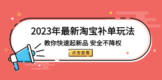 2023年最新淘宝补单玩法，教你快速起·新品，安全·不降权（18课时）-天天资源网