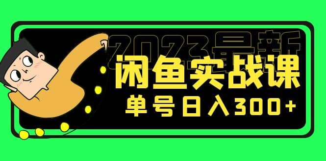 花599买的闲鱼项目：2023最新闲鱼实战课（7节课）-天天资源网
