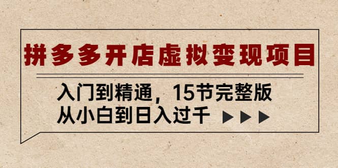 拼多多开店虚拟变现项目：入门到精通（15节完整版）-天天资源网