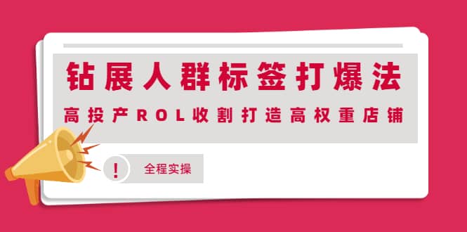 钻展人群标签打爆法，高投产ROL收割打造高权重店铺(全程实操)-天天资源网