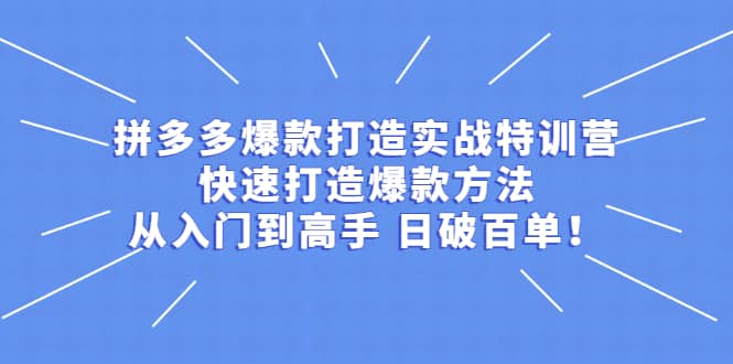 拼多多爆款打造实战特训营：快速打造爆款方法，从入门到高手 日破百单-天天资源网