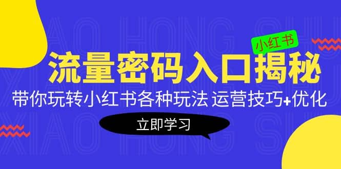 小红书流量密码入口揭秘：带你玩转小红书各种玩法 运营技巧 优化-天天资源网