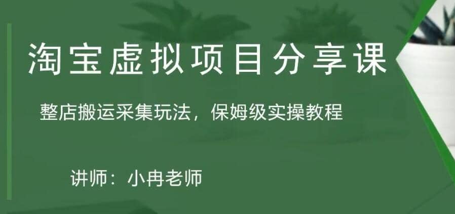 淘宝虚拟整店搬运采集玩法分享课：整店搬运采集玩法，保姆级实操教程-天天资源网