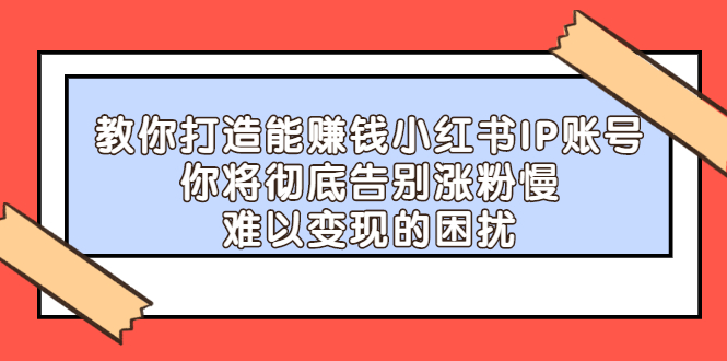教你打造能赚钱小红书IP账号，了解透彻小红书的真正玩法-天天资源网