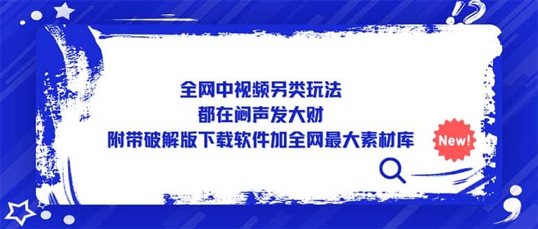 全网中视频另类玩法，都在闷声发大财，附带下载软件加全网最大素材库-天天资源网