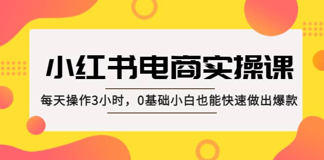 小红书·电商实操课：每天操作3小时，0基础小白也能快速做出爆款-天天资源网