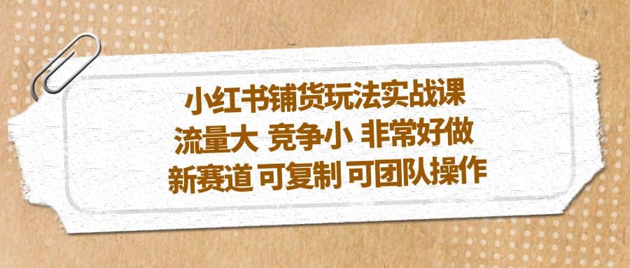 小红书铺货玩法实战课，流量大 竞争小 非常好做 新赛道 可复制 可团队操作-天天资源网