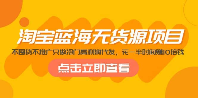 淘宝蓝海无货源项目，不囤货不推广只做冷门高利润代发-天天资源网
