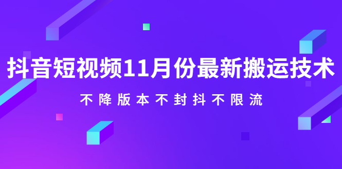 抖音短视频11月份最新搬运技术，不降版本不封抖不限流！【视频课程】-天天资源网