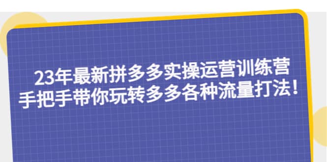 23年最新拼多多实操运营训练营：手把手带你玩转多多各种流量打法！-天天资源网