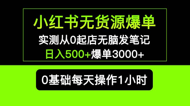 小红书无货源爆单 实测从0起店无脑发笔记爆单3000 长期项目可多店-天天资源网