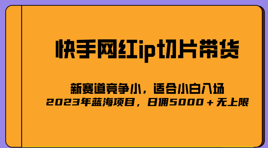 2023爆火的快手网红IP切片，号称日佣5000＋的蓝海项目，二驴的独家授权-天天资源网