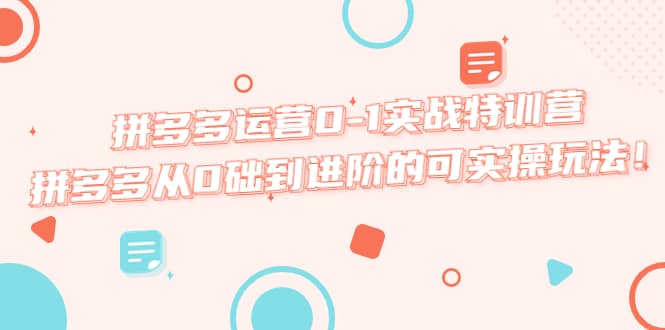 拼多多运营0-1实战特训营，拼多多从0础到进阶的可实操玩法-天天资源网