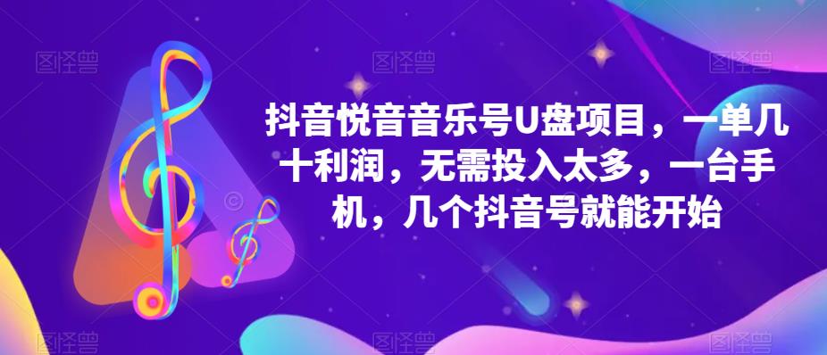 抖音音乐号U盘项目 一单几十利润 无需投入太多 一台手机 几个抖音号就开始-天天资源网
