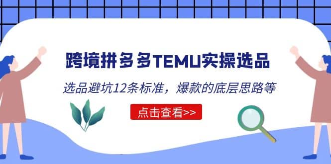跨境拼多多TEMU实操选品运营方法，选品避坑12条标准，爆款的底层思路等-天天资源网