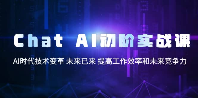 Chat AI初阶实战课，AI时代技术变革 未来已来 提高工作效率和未来竞争力-天天资源网