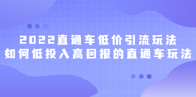 2022直通车低价引流玩法，教大家如何低投入高回报的直通车玩法-天天资源网