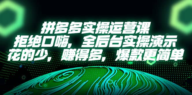 拼多多实操运营课：拒绝口嗨，全后台实操演示，花的少，赚得多，爆款更简单-天天资源网