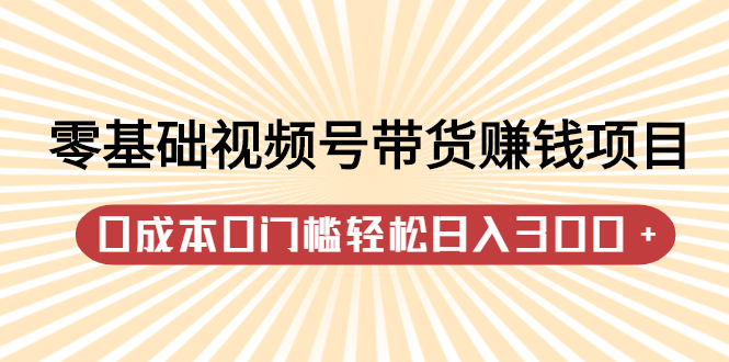 零基础视频号带货赚钱项目，0成本0门槛轻松日入300 【视频教程】-天天资源网
