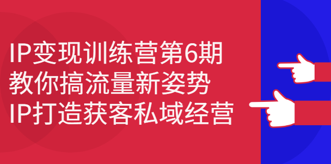 IP变现训练营第6期：教你搞流量新姿势，IP打造获客私域经营-天天资源网