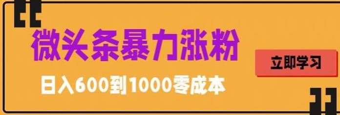 微头条暴力涨粉技巧搬运文案就能涨几万粉丝，简单0成本，日赚600-天天资源网