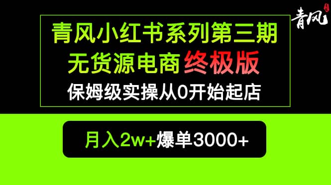 小红书无货源电商爆单终极版【视频教程 实战手册】保姆级实操从0起店爆单-天天资源网
