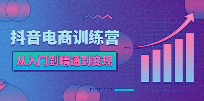 抖音电商训练营：从入门到精通，从账号定位到流量变现，抖店运营实操-天天资源网