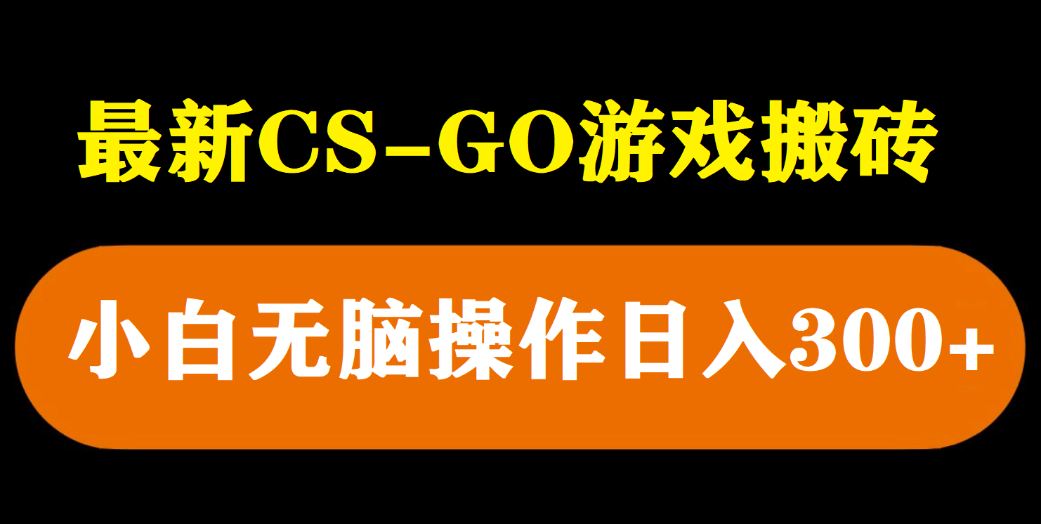 最新csgo游戏搬砖游戏，无需挂机小白无脑也能日入300-天天资源网