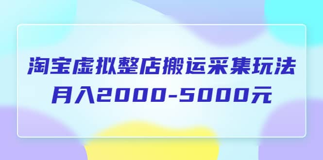 淘宝虚拟整店搬运采集玩法分享课：月入2000-5000元（5节课）-天天资源网