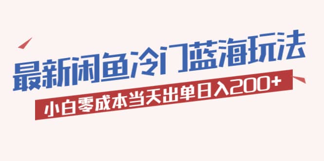 2023最新闲鱼冷门蓝海玩法，小白零成本当天出单日入200-天天资源网