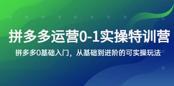 拼多多-运营0-1实操训练营，拼多多0基础入门，从基础到进阶的可实操玩法-天天资源网