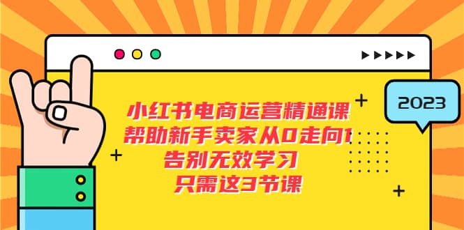 小红书电商·运营精通课，帮助新手卖家从0走向1 告别无效学习（7节视频课）-天天资源网