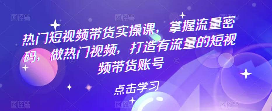热门短视频带货实战 掌握流量密码 做热门视频 打造有流量的短视频带货账号-天天资源网