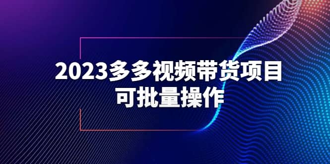 2023多多视频带货项目，可批量操作【保姆级教学】-天天资源网