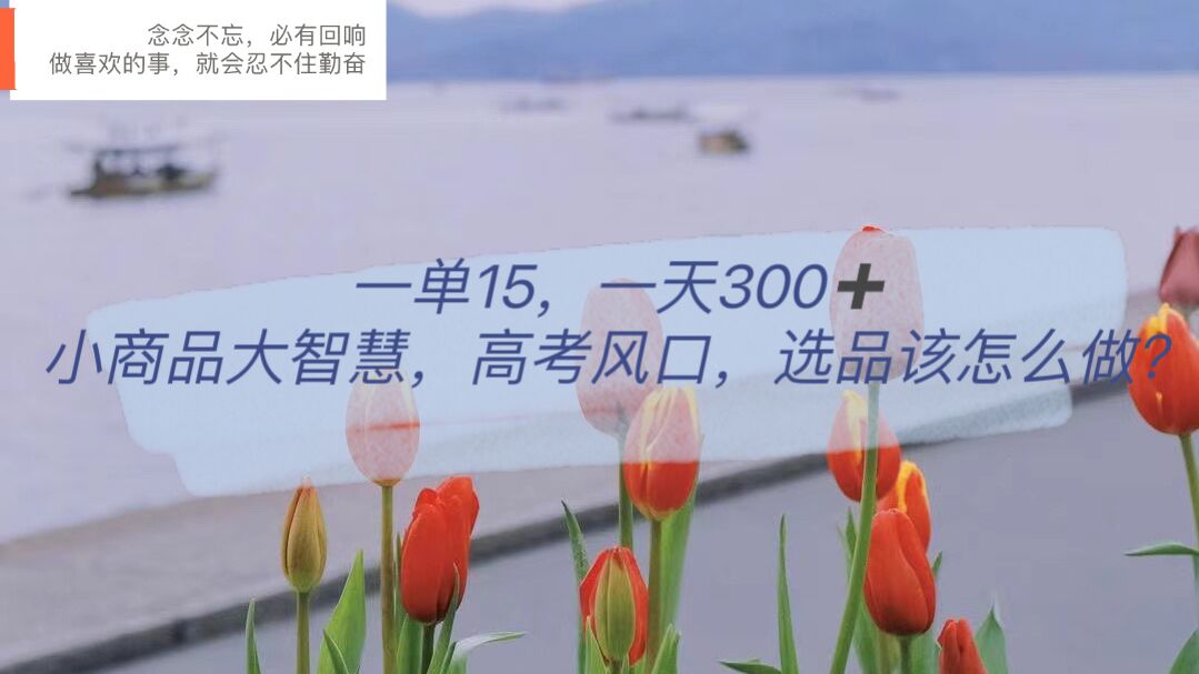 一单15，一天300 ，小商品大智慧，高考风口，选品该怎么布局-天天资源网