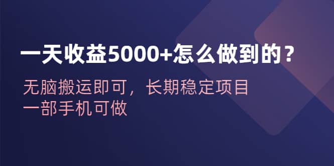 一天收益5000 怎么做到的？无脑搬运即可，长期稳定项目，一部手机可做-天天资源网