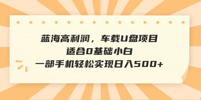 蓝海高利润，车载U盘项目，适合0基础小白，一部手机轻松实现日入500-天天资源网