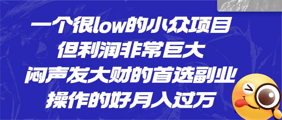 一个很low的小众项目，但利润非常巨大，闷声发大财的首选副业，月入过万-天天资源网