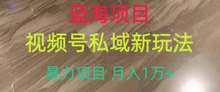 蓝海项目，视频号私域新玩法，暴力项目月入1万 【揭秘】-天天资源网