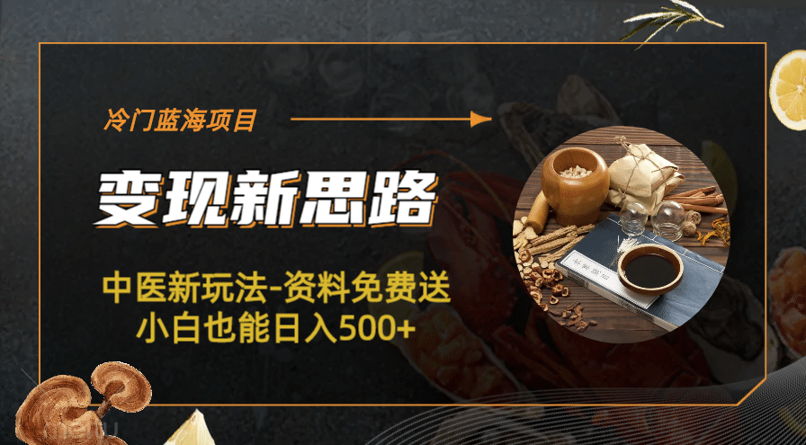 冷门蓝海项目-中医新玩法-冷门蓝海项目-中医新玩法-资料免费送小白也能日入500 500-天天资源网