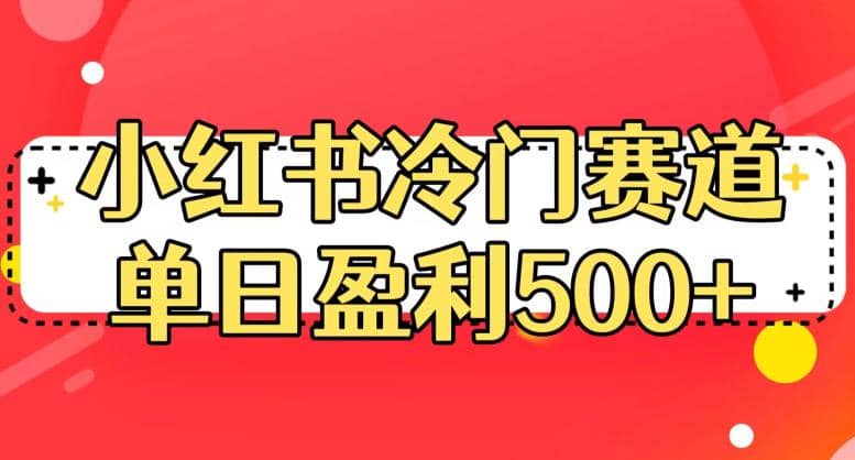 小红书冷门赛道，单日盈利500 【揭秘】-天天资源网