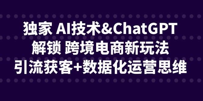 独家 AI技术ChatGPT解锁 跨境电商新玩法，引流获客 数据化运营思维-天天资源网