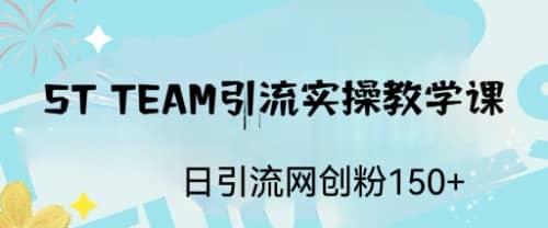 ST TEAM引流实操课，日引流网创粉100-天天资源网